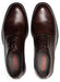 'LORCA' men's dressed lace - up shoe - Brown - Chaplinshoes'LORCA' men's dressed lace - up shoe - BrownPikolinos