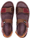 'Oropesa' men's sandal - darm brown - Chaplinshoes'Oropesa' men's sandal - darm brownPikolinos